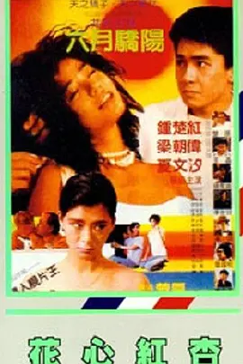 国产视频你懂得